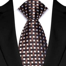 Luxury 8CM Mens Necktie Brown Blue Color Dot Stripes Solid Tie For Man Groom Jacquard Woven Neck Tie For Business Wedding Party