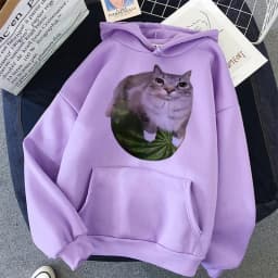 Cute Watermelon Cat Silly Cat Meme Printed Hoodies 90s Casual Sweatshirts Graphic Y2k Hooded Women's Gothic Streetwear Clothes