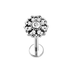 Heart Bird Flower Butterfly Labret Piercing Eye Shape Daith Conch Earring Teardrop CZ Lip Stud 316L Surgical Steel 16G