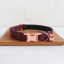 Cat Collar with Bell Bow Personalized Engraving Nameplate Kitten Collars Cat Necklace Customized Small Dogs Chihuahua Yorshire