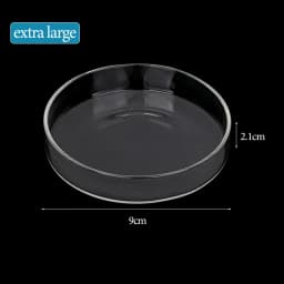 Shrimp Feeding Dish High Transparent Glass Feeding Dish Fish for Tank Clear Feeder Bowl Aquarium Fish Tank Reptiles Feeder