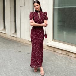 Linad Spring Elegant Print Long Dress Vintage High Waist Puff Sleeve Dresses Lady Casual Chiffon Turtleneck Dress For Women 2026
