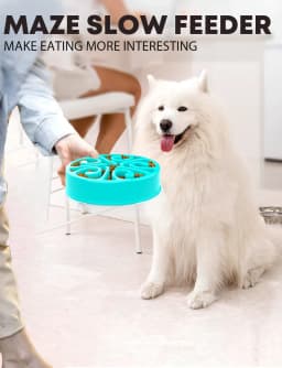 Pet Dog Slow Feeder Bowl Fun Non Slip Anti-Gulping Slower Food Feeding Dishes Eco Dog Bowl for Large Medium Small Dogs Puppy
