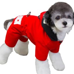 Hooded Winter Warm Thicken Pet Dog Jacket Dog Jumpsuit Clothes For Small Large Dogs Puppy Clothing Cat Coat Supplies Waterproof