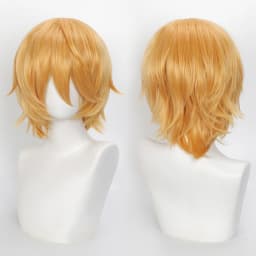 35cm Short Black Spiky Cosplay Wig Pre-Teased Crown Heat Resistant Synthetic Wig Layered Flipped-out Universal Anime Wig