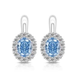 Exquisite Ice Flower-Cut Pigeon Egg 925 Sterling Silver Earrings with High-Carat Diamond Egg-Shaped Earrings for Ladies' Jewelry