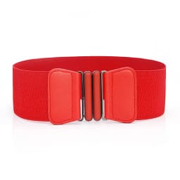 Women's Wide Belt Elastic Plus Size Vintage Buckle Waist Seal Pairing with Women Dresss weaters Jackets Sweater and Down Jackets