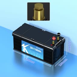 LiFePO4 Lithium Iron Phosphate Battery with BMS, 12V, 24V, 36V, 48V, 100Ah, 120Ah, 200Ah, for Golf Cart, EV, RV, Solar Energy