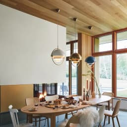 Danish Deformed Ball Pendant Lights Ceiling Hanging Lamp Chandelier for Bedroom Kitchen Living Dining Room