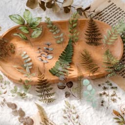 40pcs Plant & Nature Flower Decorative PVC Stickers Daisy & Mushroom DIY Scrapbooking Labels Journaling Stationery Album Decals