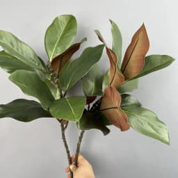 2pcs Artificial Magnolia Leaf Green Plant Floral Plastic Simulation Magnolia Branch Fake Plants Leaves Shopping Mall Decoration