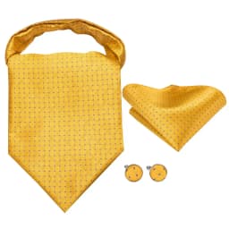 Hi-Tie Silk Mens Ascots Hanky Cufflinks Set Jacquard Paisley Floral Cravat Tie Self Vintage Ascot Black Gray Red Gold Pink Blue