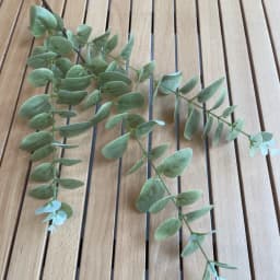 10Pc 3D Printing Eucalyptus Leaves Artificial Plants Wedding Road Leads Flower Arrangement Home Decoration Party Eucalyptus Leaf