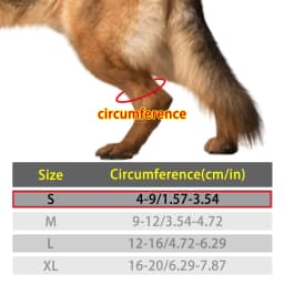 Dog Knuckling Corrector Toe Dragging Brace for Rear Back Leg Paw with Sciatic Nerve Injuries. Myelopathy and Spinal Injuries