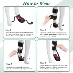 Drop Foot Brace with Reel for Dog - Corrective Dog Shoe to Safely Lift Toes for Paws Issues,Reliable Paw Protector For Dogs