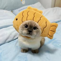 Cartoon Cat Hat Cute Fish Shape Pet Cat Costume Breathable Headdress Hat for Cat Pet Cats Headgear Pet Plush Fun Hat Toy for Cat