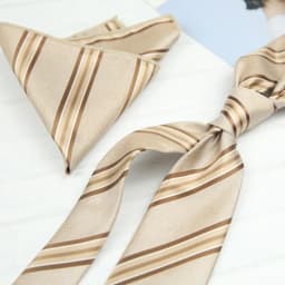 2pcs Neck Ties Set New Arrival Wine Red Striped Neckties Formal Business Khaki Dots Floral Pocket Square Wedding Shirt Cravat