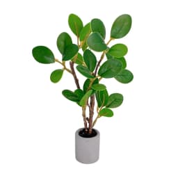 1:6 Dollhouse Miniature Potted Plants Model Green Leafed Plant Pot Bonsai Home Garden Decor Toy Doll House Accessories