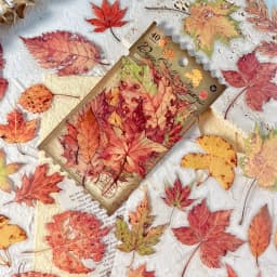 40 sheets Autumn Leaf Mushroom Theme Stickers pack Journal Diy Scrapbooking Supplies Diary Album Aesthetic Stationery Sticker