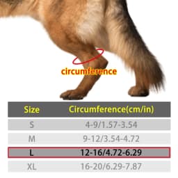 Dog Knuckling Corrector Toe Dragging Brace for Rear Back Leg Paw with Sciatic Nerve Injuries. Myelopathy and Spinal Injuries