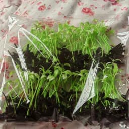 5-100pcs Grass Style Hair Clips Cute Sprout Plant Hairpins Novelty Hair Accessories for Women Girls Party Cosplay Funny Headwear