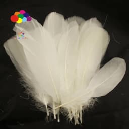 100PCS Soft Goose Feathers 5-7 Inch/13-18cm For Wedding Party Decoration Carnival Diy Facinator
