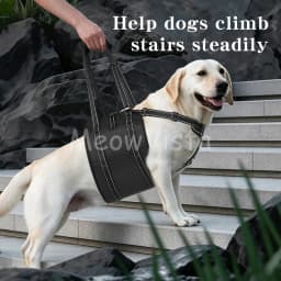 Dog Lift Harness Adjustable Reflective Rehabilitation Support Sling Mobility Aid for Old Injured Medium Large Dog Walking Assist