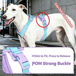 Dog Harness for Small Medium Large Dogs No Pull Breathable Adjustable Pet Chest Strap Outdoor Dog Supplies Puppy Vest Harness