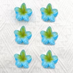 6Pcs Gradient Hair Clips New Flower Hair Claws Small Size Fashion Headwear Hairpin Crab Barrette Hair Accessories for Women