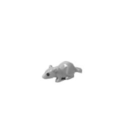 MOC City Animal Building Block Figures Goat Sheep Dog Lion Panda Cheetah Parrot DIY Farm Street View Accessories Bricks Toy Gift