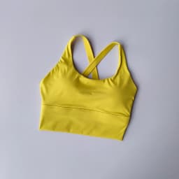 High-Intensity Fixed Pad Sports Bra Shockproof Running Gym Push-Up Yoga Fitness Lingerie Professional Underwear for Women