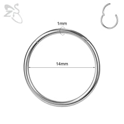 ZS 1 PC G23 Titanium Steel Round Nose Ring Men Women 20/18/16G Septum Piercings Ear Cartilage Helix Piercing Body Jewelry 6-14MM
