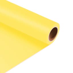 12"X 5ft/30x152cm HTVRONT Heat Transfer Matte PU Elastic Vinyl for Printing Clothing T-shirt DIY Cricut Iron on HTV Roll Film