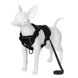 Adjustable Dog Harness Leash Set for Small Medium Dogs Cats Reflective Chest Strap Pets Harnesses Vest Outdoor Puppy Supplies