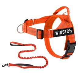Custom Name No Pull Dog Harness Elastic Buffer Leash Set Adjustable Reflective Nylon Walking Lead for Small Medium Large Dogs