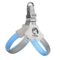 Dog Harness Chest Strap Four Seasons Breathable Mesh Walking Dog Saddle Dog Collar Soft Night Reflective Bulldog Pet Supplies