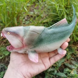 Simulational Dinosaur Figure Model Toy Plastic Dinosaur Toy Home Decoration Animals Model Collection Toy Kids Adult Gift