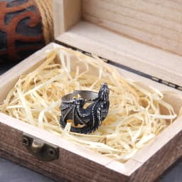 Viking Style Stainless Steel Huge Dragon Ring for Men Male Fashion Jewelry as gift with wooden box