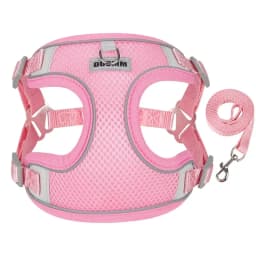 Mesh Breathable Pet Harness for Small Medium Dogs Outdoor Puppy Dog Harnesses and Leash for Walking Pomeranian Mascotas Supplies