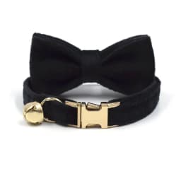 Personalized Collar for Cat Kitten Collar Velvet Puppy Small Dogs Collars Customized Engraving Name Cat Necklace with Bell Bow