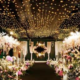 E2 Wedding Net LED String Lights 1x5/10m Roll Festival Party Hotel Ceiling Fairy Light Decorat DIY Meshes Starry Sky Rice Lamp
