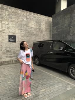 2025 Spring Autumn New Printed Half Length Skirt for Women's Summer High Waist Tulle Long Skirt Woman Split Straight Skirt