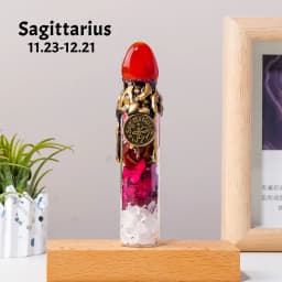 1PC Natural Crystal Zodiac Wishing Bottle, Magic Energy Healing Stone Drifting Bottle with Raw Stones, Spiritual Divination Reik