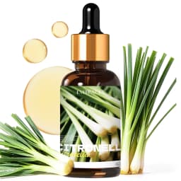 36 Type 30ml Fragrance Oils Long Lasting Scents For Humidifier/Diffusers Holiday Gifts For Friends