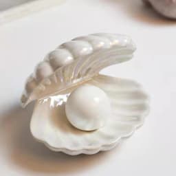 Shell-Shaped Small Night Light, Dorm Gift for Birthday, for Female Friends or Besties, Bedroom Bedside Decoration Lamp