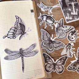 16pcs Black And White Retro Insect Dragonfly Butterfly Mushroom Ledger Sticker Diary Photo Album Mobile Phone Case Decoration