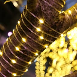 20M 50M 100M Outdoor LED Rope String Light Ultra Bright PVC Tube Fairy Garland Light for Xmas Garden Yard Path Tree Decor