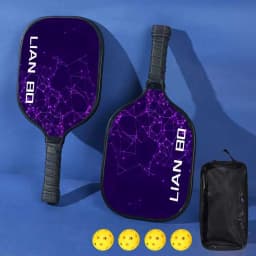Pickleball Rackets Set Pickleball Paddle Set of 2 Rackets & 4 Pickleballs Balls Beach Tennis Pickleball Racquet Lightweight