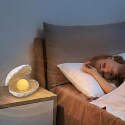 Shell-Shaped Small Night Light, Dorm Gift for Birthday, for Female Friends or Besties, Bedroom Bedside Decoration Lamp