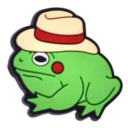 Funny Frog Shoe Charms for Crocs Accessories Men Clogs Pins Women Badge Boy Girl Jeans Kids Decorations Buckle Shoes Accessories